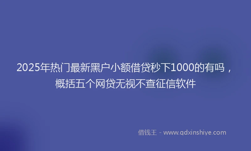 2025年热门最新黑户小额借贷秒下1000的有吗，概括五个网贷无视不查征信软件