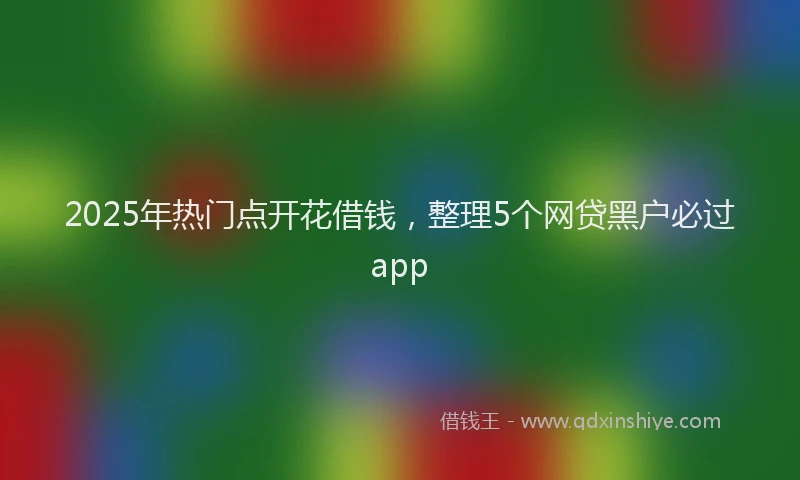 2025年热门点开花借钱，整理5个网贷黑户必过app