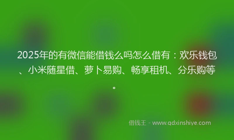 2025年的有微信能借钱么吗怎么借有：欢乐钱包、小米随星借、萝卜易购、畅享租机、分乐购等。