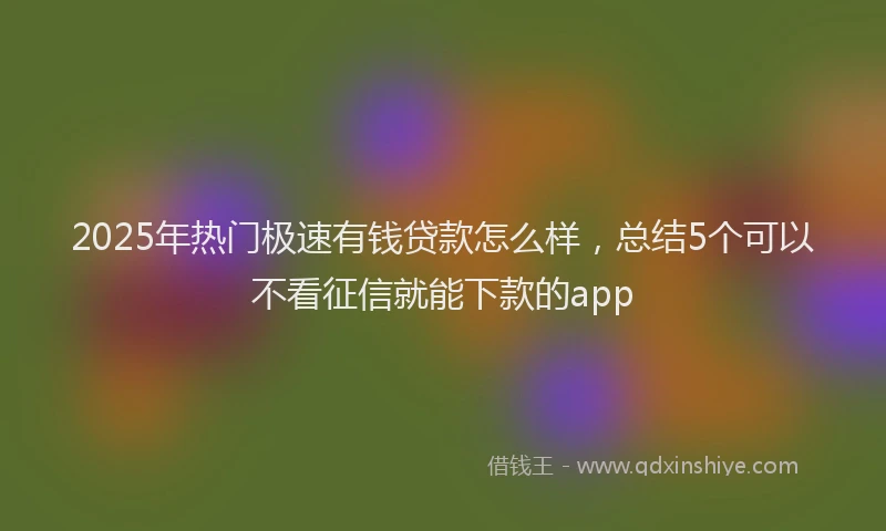 2025年热门极速有钱贷款怎么样，总结5个可以不看征信就能下款的app