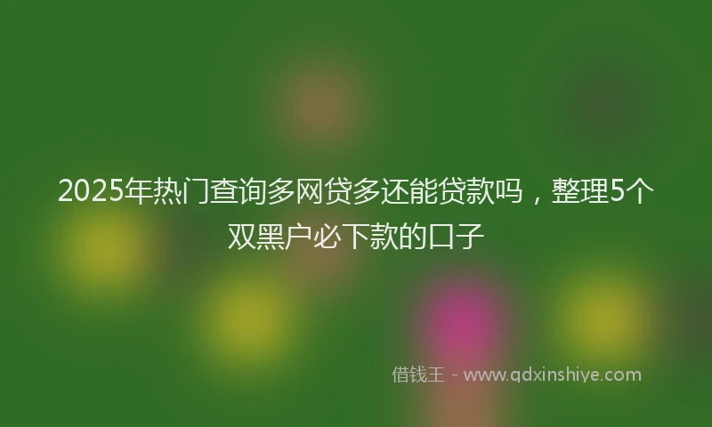 2025年热门查询多网贷多还能贷款吗,整理5个双黑户必下款的口子