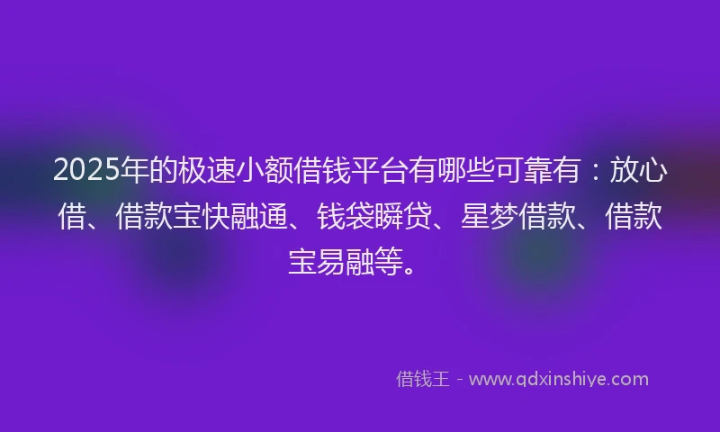 2025年的极速小额借钱平台有哪些可靠有：放心借、借款宝快融通、钱袋瞬贷、星梦借款、借款宝易融等。
