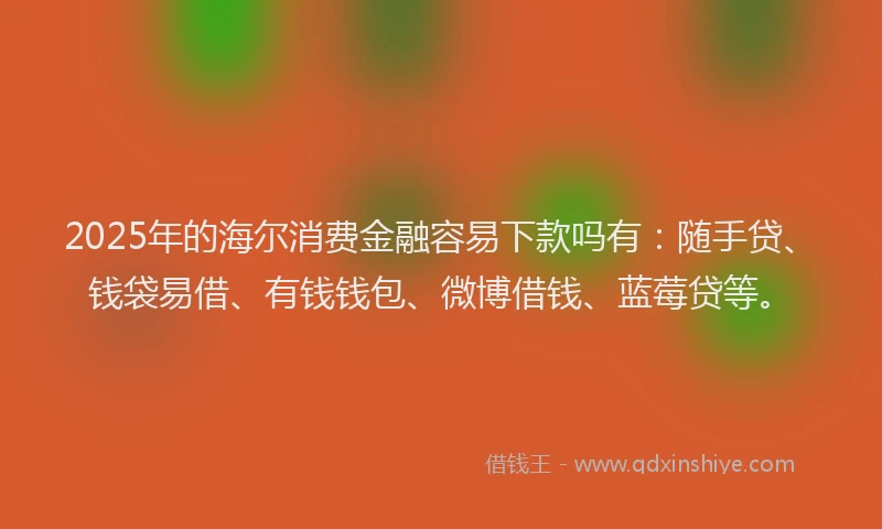 2025年的海尔消费金融容易下款吗有：随手贷、钱袋易借、有钱钱包、微博借钱、蓝莓贷等。