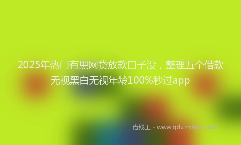 2025年热门有黑网贷放款囗子没，整理五个借款无视黑白无视年龄100%秒过app