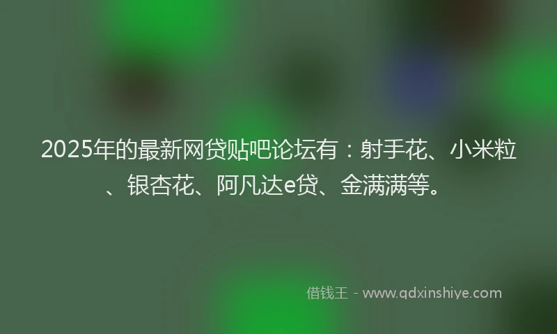 2025年的最新网贷贴吧论坛有:射手花、小米粒、银杏花、阿凡达e贷、金满满等。