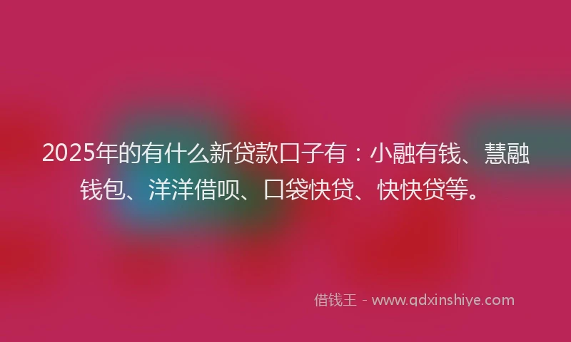 2025年的有什么新贷款口子有：小融有钱、慧融钱包、洋洋借呗、口袋快贷、快快贷等。