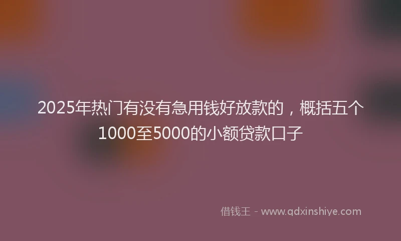 2025年热门有没有急用钱好放款的，概括五个1000至5000的小额贷款口子