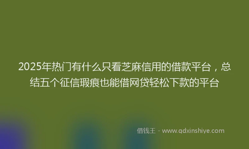 2025年热门有什么只看芝麻信用的借款平台，总结五个征信瑕疵也能借网贷轻松下款的平台