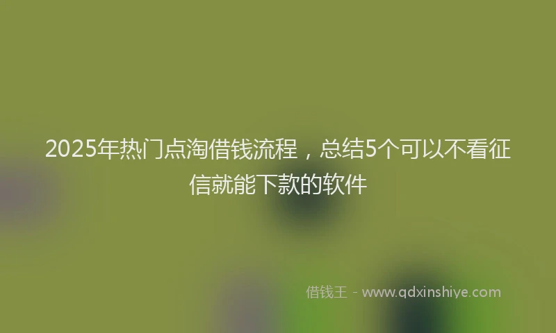 2025年热门点淘借钱流程,总结5个可以不看征信就能下款的软件
