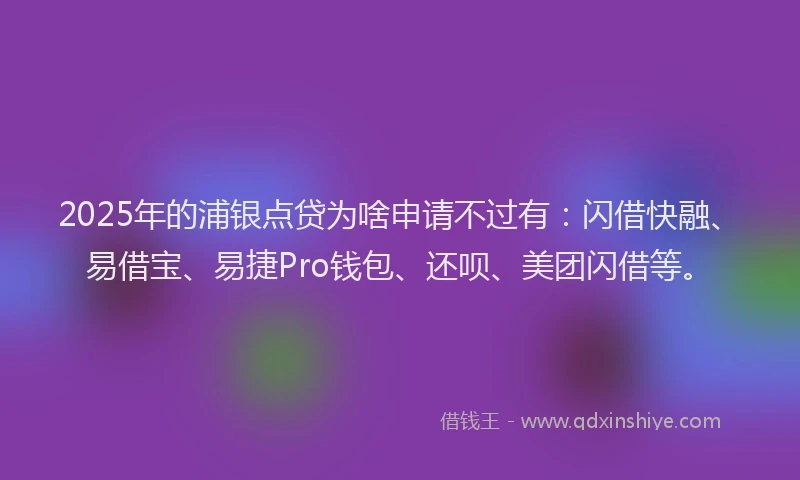 2025年的浦银点贷为啥申请不过有：闪借快融、易借宝、易捷Pro钱包、还呗、美团闪借等。