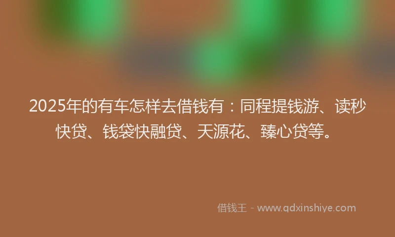 2025年的有车怎样去借钱有:同程提钱游、读秒快贷、钱袋快融贷、天源花、臻心贷等。