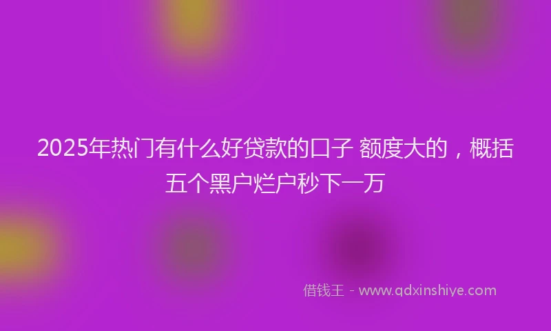 2025年热门有什么好贷款的口子 额度大的，概括五个黑户烂户秒下一万