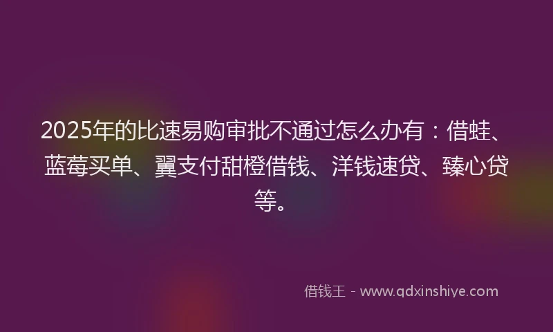 2025年的比速易购审批不通过怎么办有：借蛙、蓝莓买单、翼支付甜橙借钱、洋钱速贷、臻心贷等。