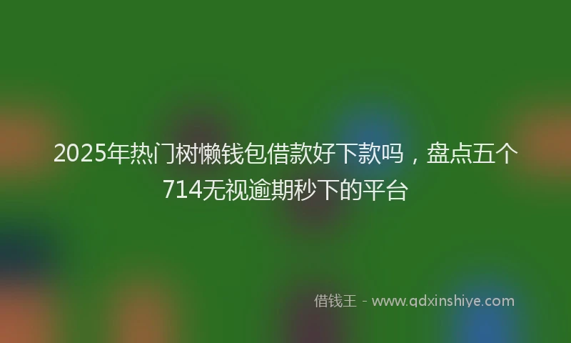 2025年热门树懒钱包借款好下款吗，盘点五个714无视逾期秒下的平台