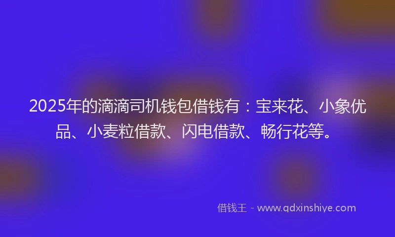 2025年的滴滴司机钱包借钱有：宝来花、小象优品、小麦粒借款、闪电借款、畅行花等。