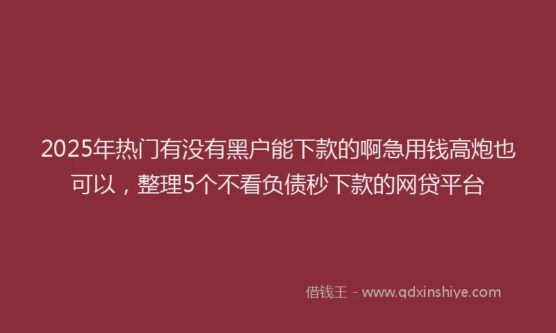2025年热门有没有黑户能下款的啊急用钱高炮也可以，整理5个不看负债秒下款的网贷平台
