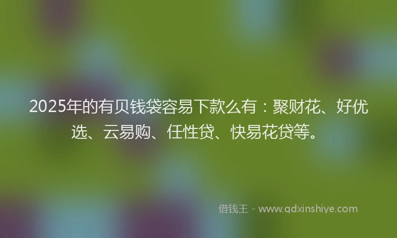 2025年的有贝钱袋容易下款么有:聚财花、好优选、云易购、任性贷、快易花贷等。