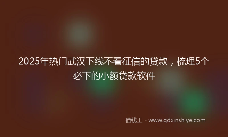 2025年热门武汉下线不看征信的贷款,梳理5个必下的小额贷款软件
