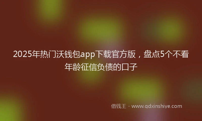 2025年热门沃钱包app下载官方版，盘点5个不看年龄征信负债的口子