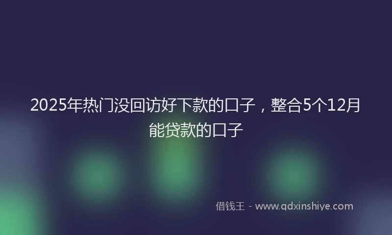 2025年热门没回访好下款的口子,整合5个12月能贷款的口子