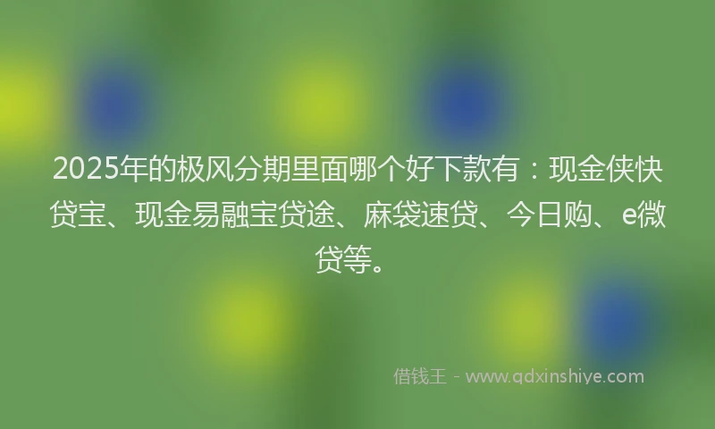 2025年的极风分期里面哪个好下款有：现金侠快贷宝、现金易融宝贷途、麻袋速贷、今日购、e微贷等。