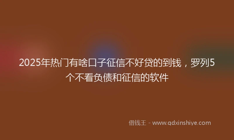 2025年热门有啥口子征信不好贷的到钱，罗列5个不看负债和征信的软件