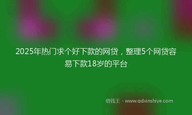 2025年热门求个好下款的网贷，整理5个网贷容易下款18岁的平台