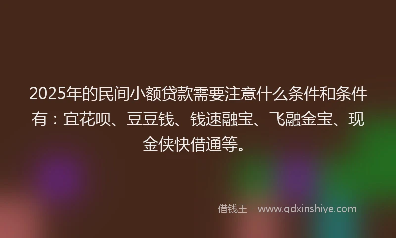 2025年的民间小额贷款需要注意什么条件和条件有：宜花呗、豆豆钱、钱速融宝、飞融金宝、现金侠快借通等。