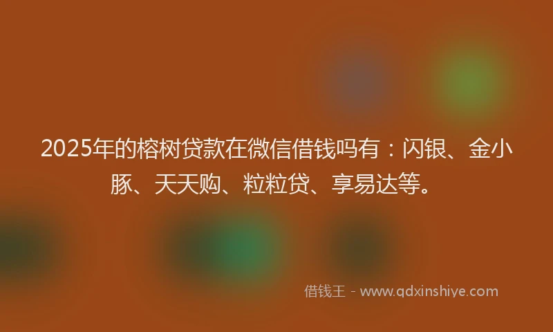 2025年的榕树贷款在微信借钱吗有：闪银、金小豚、天天购、粒粒贷、享易达等。