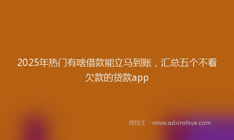 2025年热门有啥借款能立马到账，汇总五个不看欠款的贷款app