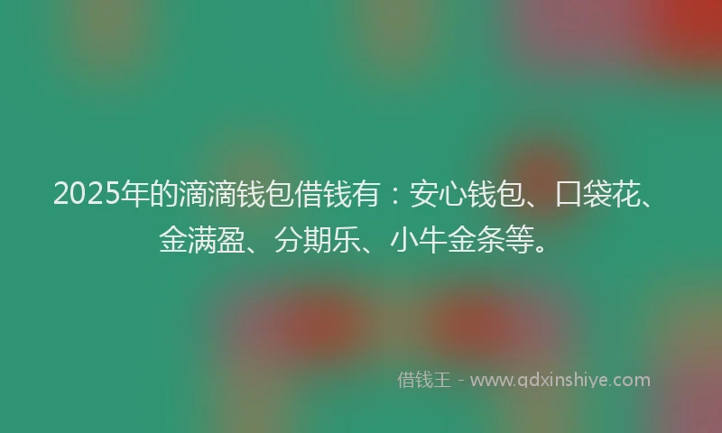 2025年的滴滴钱包借钱有：安心钱包、口袋花、金满盈、分期乐、小牛金条等。