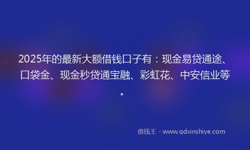 2025年的最新大额借钱口子有：现金易贷通途、口袋金、现金秒贷通宝融、彩虹花、中安信业等。
