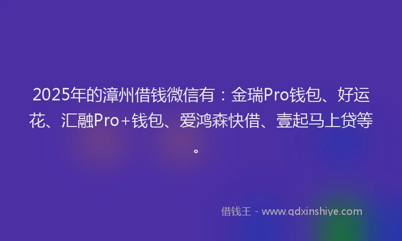 2025年的漳州借钱微信有:金瑞Pro钱包、好运花、汇融Pro+钱包、爱鸿森快借、壹起马上贷等。