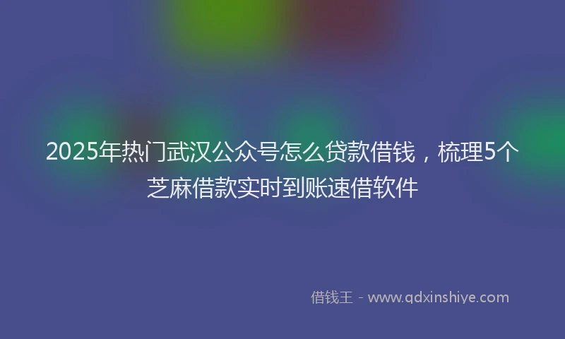 2025年热门武汉公众号怎么贷款借钱，梳理5个芝麻借款实时到账速借软件