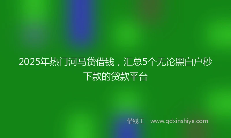 2025年热门河马贷借钱，汇总5个无论黑白户秒下款的贷款平台