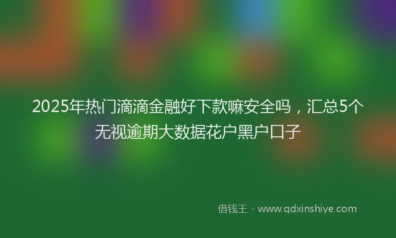 2025年热门滴滴金融好下款嘛安全吗，汇总5个无视逾期大数据花户黑户口子