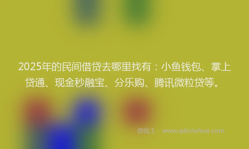 2025年的民间借贷去哪里找有：小鱼钱包、掌上贷通、现金秒融宝、分乐购、腾讯微粒贷等。