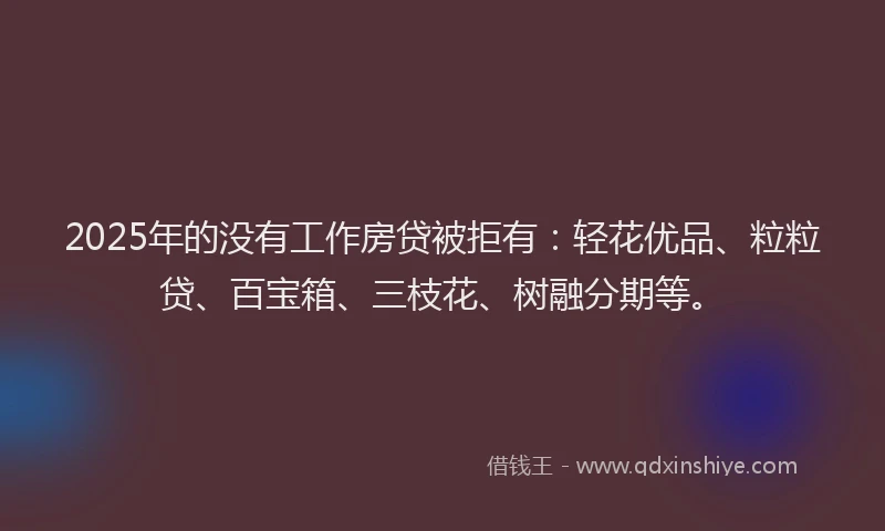 2025年的没有工作房贷被拒有：轻花优品、粒粒贷、百宝箱、三枝花、树融分期等。