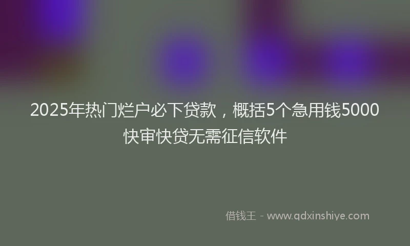 2025年热门烂户必下贷款，概括5个急用钱5000快审快贷无需征信软件