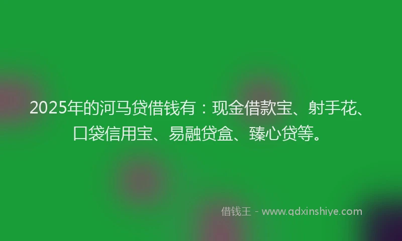 2025年的河马贷借钱有:现金借款宝、射手花、口袋信用宝、易融贷盒、臻心贷等。