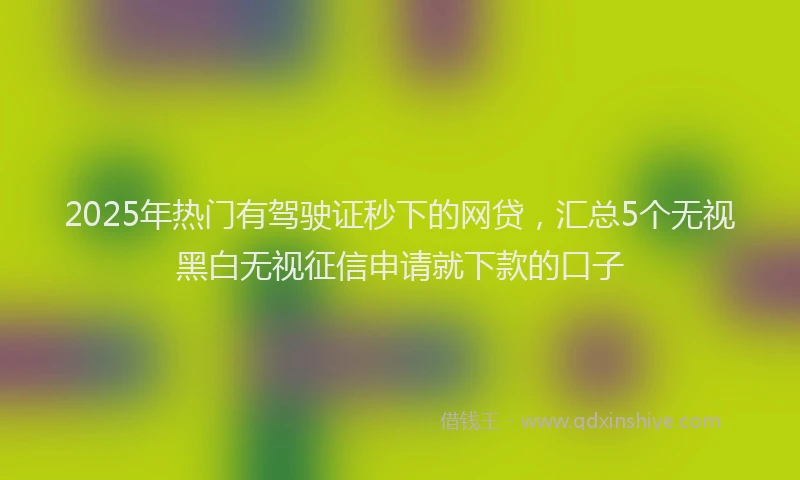 2025年热门有驾驶证秒下的网贷，汇总5个无视黑白无视征信申请就下款的口子