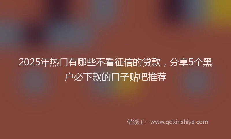 2025年热门有哪些不看征信的贷款，分享5个黑户必下款的口子贴吧推荐