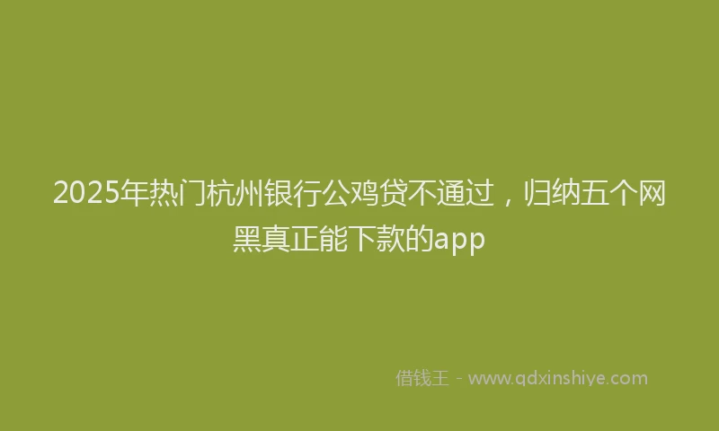 2025年热门杭州银行公鸡贷不通过，归纳五个网黑真正能下款的app