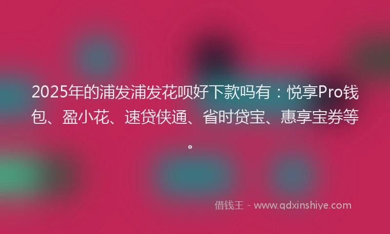 2025年的浦发浦发花呗好下款吗有：悦享Pro钱包、盈小花、速贷侠通、省时贷宝、惠享宝券等。