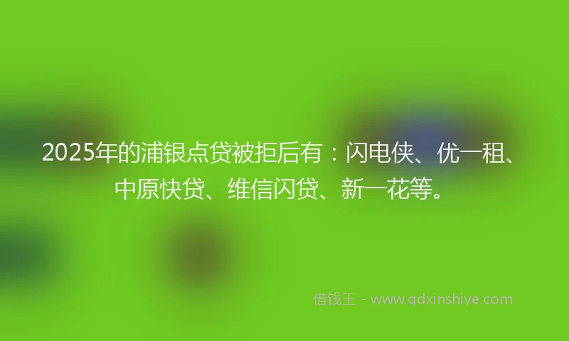2025年的浦银点贷被拒后有：闪电侠、优一租、中原快贷、维信闪贷、新一花等。