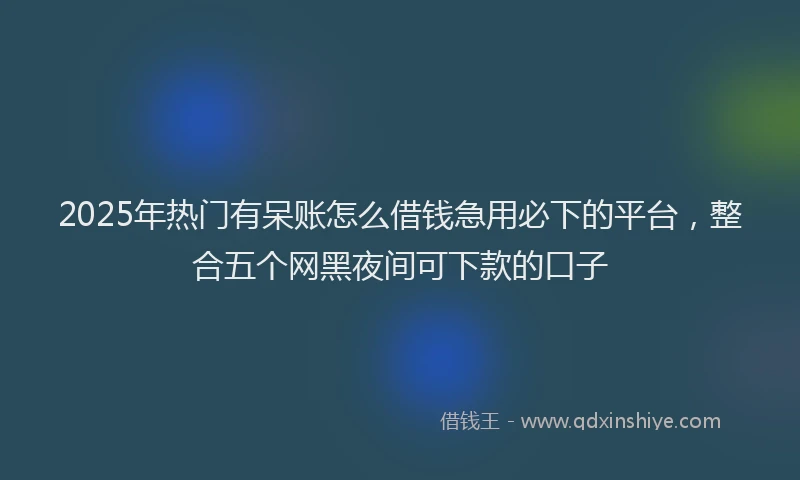 2025年热门有呆账怎么借钱急用必下的平台,整合五个网黑夜间可下款的口子