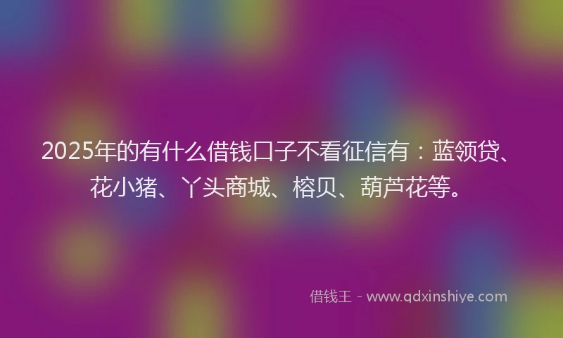 2025年的有什么借钱口子不看征信有：蓝领贷、花小猪、丫头商城、榕贝、葫芦花等。