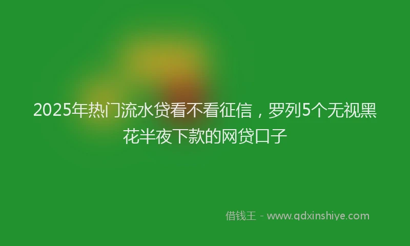 2025年热门流水贷看不看征信，罗列5个无视黑花半夜下款的网贷口子