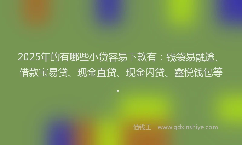 2025年的有哪些小贷容易下款有：钱袋易融途、借款宝易贷、现金直贷、现金闪贷、鑫悦钱包等。