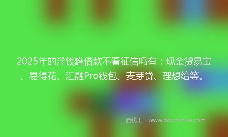 2025年的洋钱罐借款不看征信吗有：现金贷易宝、易得花、汇融Pro钱包、麦芽贷、理想给等。